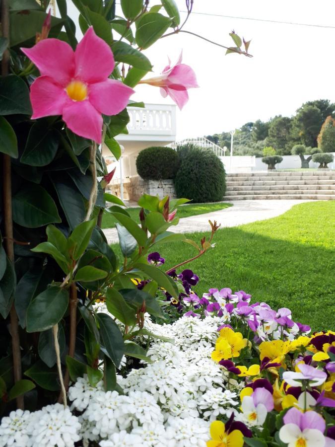 Villa Natia Mottola Exteriör bild